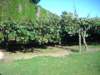 dscn3090_small.jpg