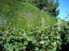 dscn3092_small.jpg