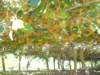 dscn3094_small.jpg