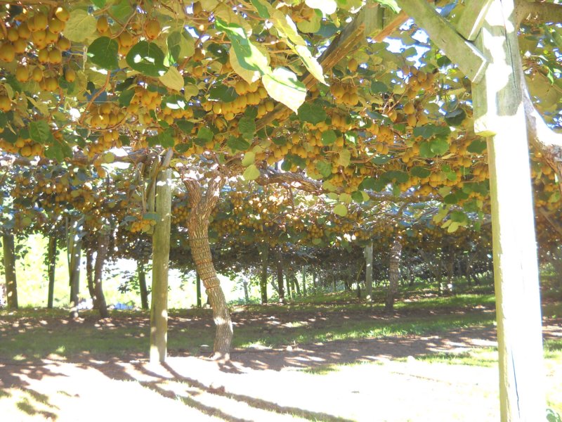 dscn3095.jpg