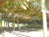 dscn3095_small.jpg