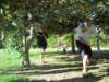 dscn3097_small.jpg