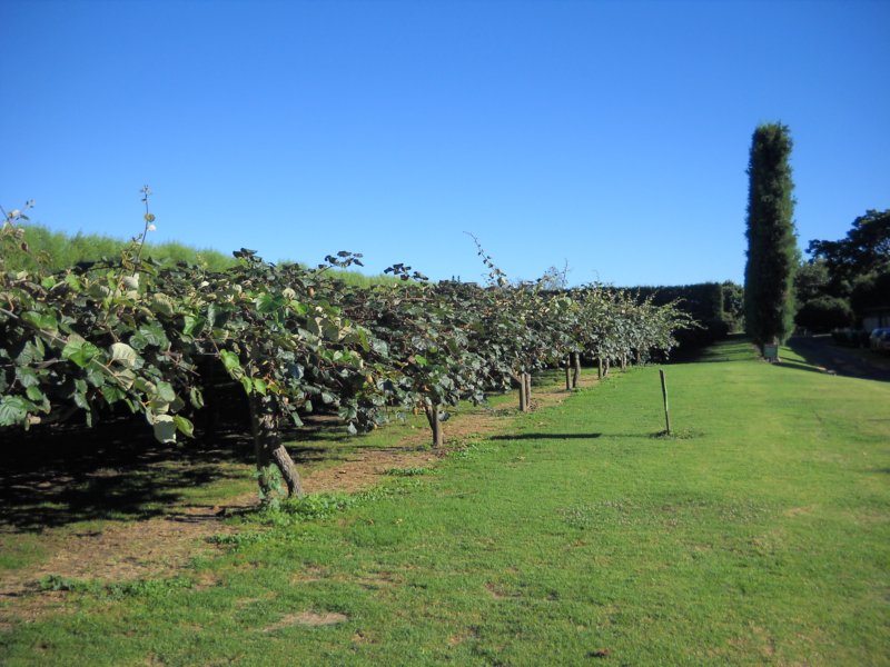 dscn3098.jpg