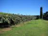 dscn3098_small.jpg