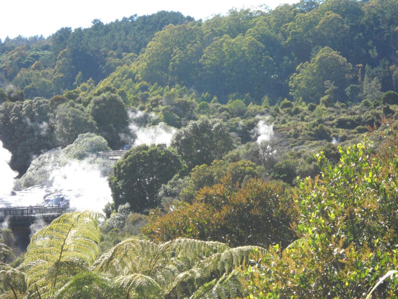 dscn3112.jpg