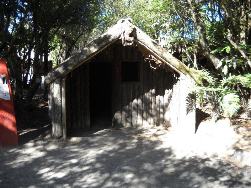 dscn3116.jpg