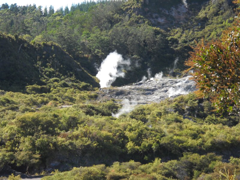 dscn3122.jpg