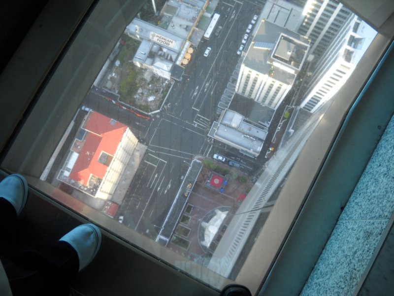 skytower2.jpg