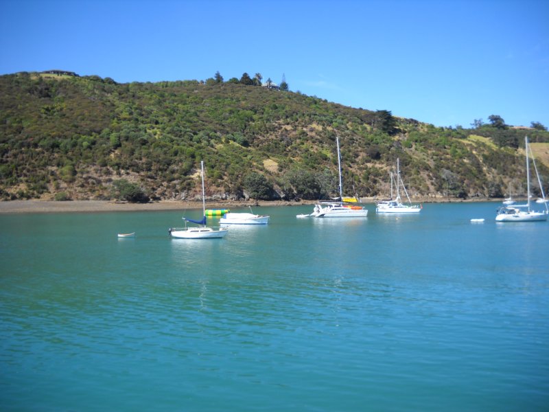 towaiheke.jpg