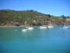 towaiheke_small.jpg