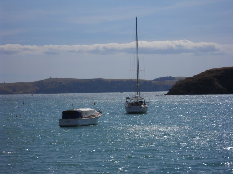 waihekeharbor3.jpg
