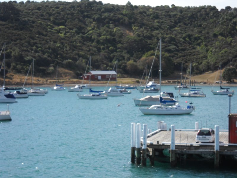 waihekeharbor6.jpg