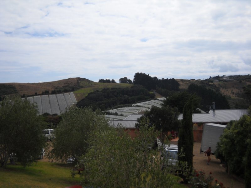 waihekemirovineyards6.jpg