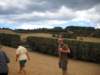 waihekesaratogawinery2_small.jpg