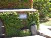 waihekestoneyridgewinery2_small.jpg