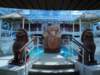 dsc00317_small.jpg