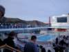 dsc00351_small.jpg