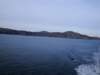 dsc00353_small.jpg
