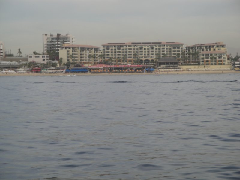dsc00392.jpg