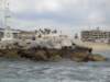 dsc00395_small.jpg