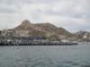 dsc00398_small.jpg