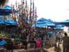 dsc00402_small.jpg
