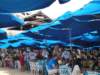 dsc00404_small.jpg