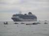 dsc00405_small.jpg