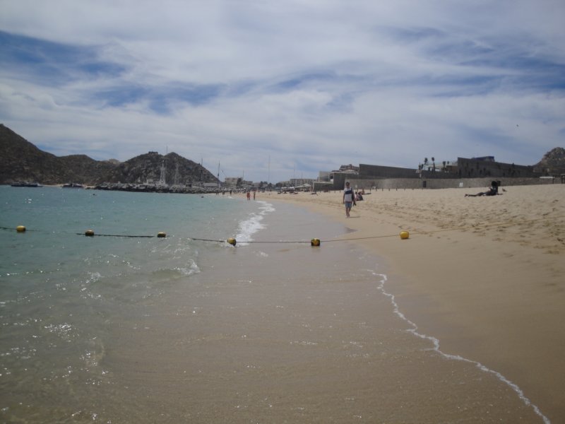 dsc00433.jpg