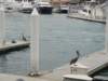 dsc00438_small.jpg