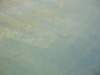 dsc00439_small.jpg