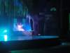dsc00458_small.jpg