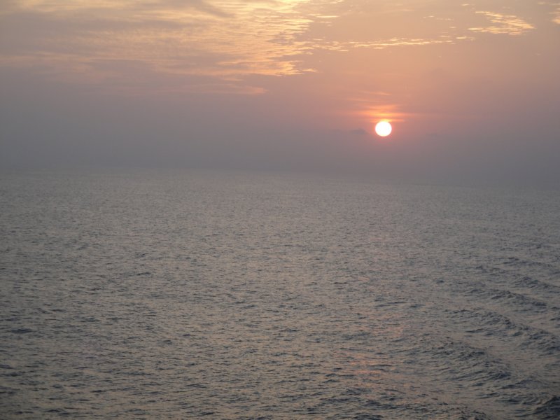 dsc00462.jpg