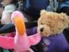 dsc00469_small.jpg