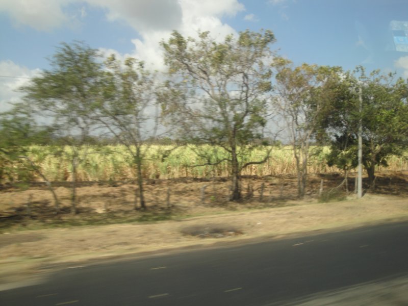 dsc00478.jpg