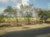 dsc00478_small.jpg