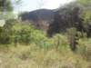 dsc00482_small.jpg