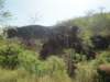 dsc00483_small.jpg
