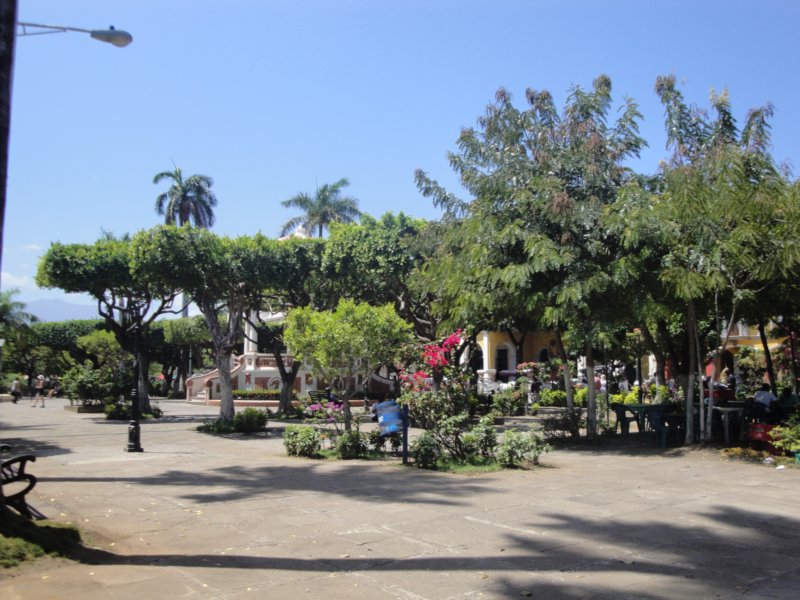 dsc00506.jpg
