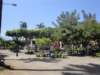 dsc00506_small.jpg