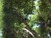 dsc00508_small.jpg