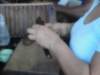 dsc00531_small.jpg