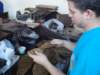 dsc00536_small.jpg