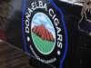 dsc00537_small.jpg