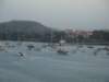 dsc00584_small.jpg
