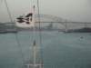 dsc00586_small.jpg