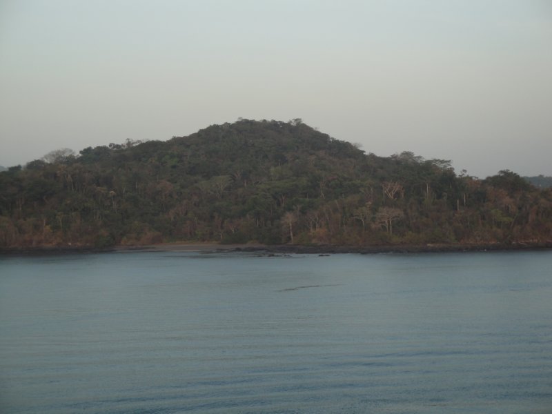 dsc00590.jpg