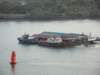 dsc00592_small.jpg