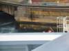 dsc00611_small.jpg