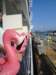 dsc00620_small.jpg